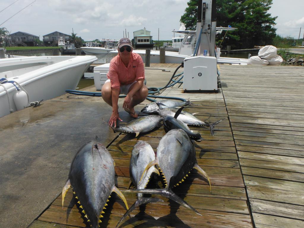 Yellowfin At The Dock